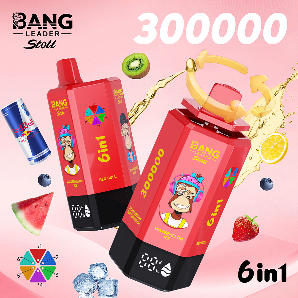 Bang Leader 300K Einweg Vape 300000 Puffs 6 in 1 Disposable vape kaufen
