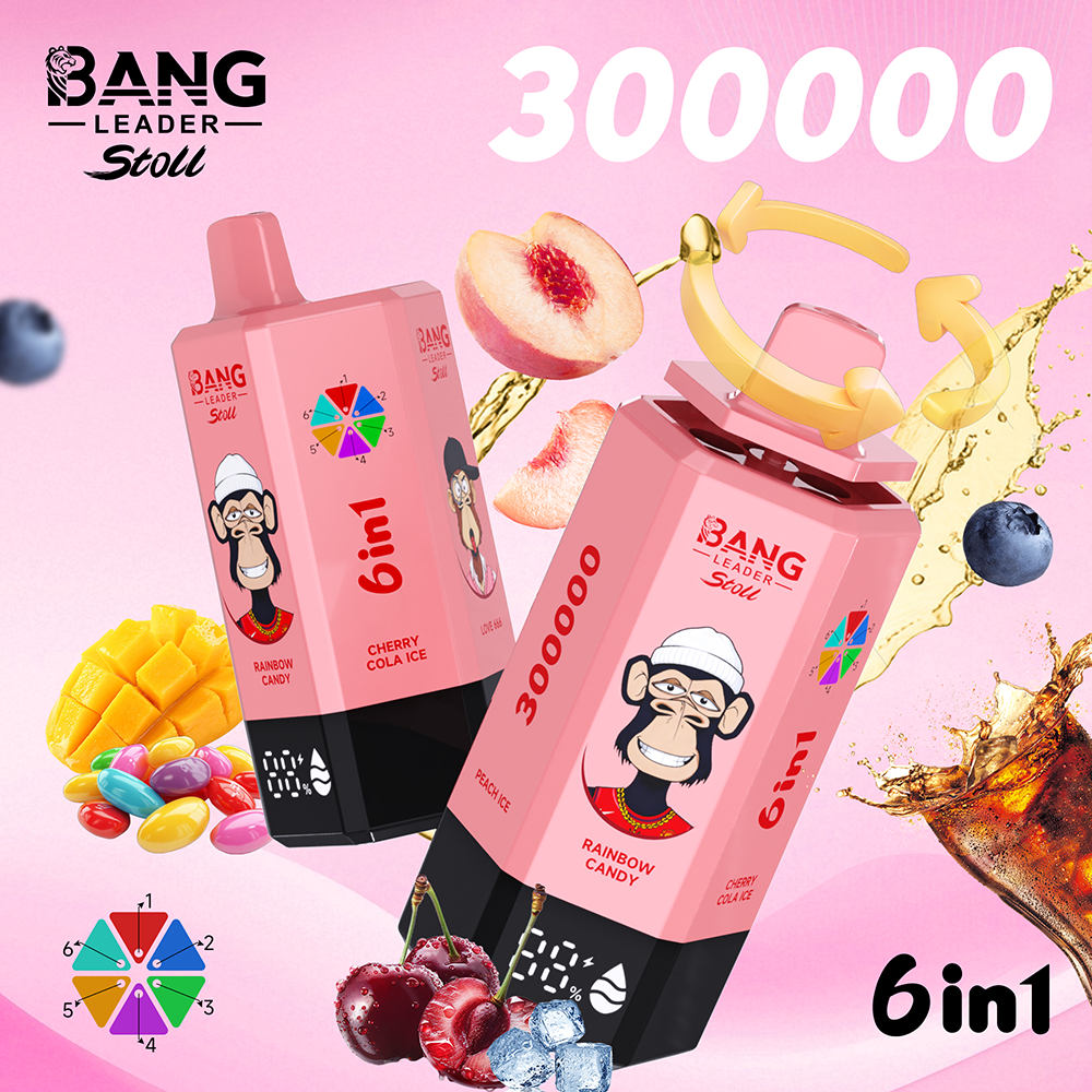 Bang Leader 300K Einweg Vape 300000 Puffs 6 in 1 Disposable vape kaufen