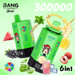 Bang Leader 300K Einweg Vape 300000 Puffs 6 in 1 Disposable vape kaufen