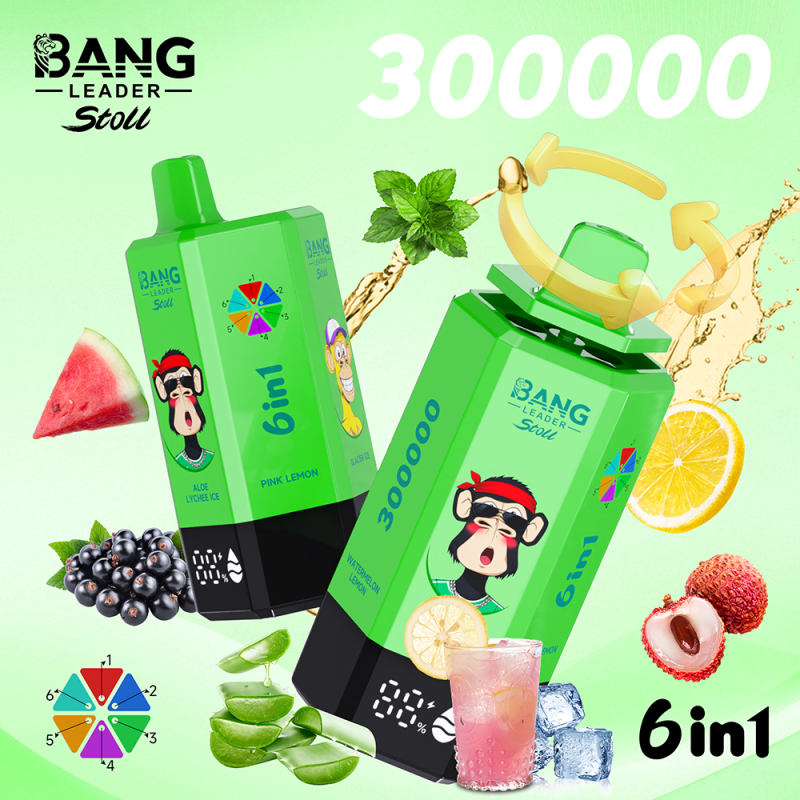 Bang Leader 300K Einweg Vape 300000 Puffs 6 in 1 Disposable vape kaufen