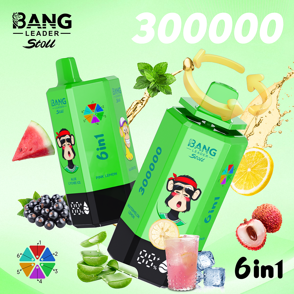 Bang Leader 300K Einweg Vape 300000 Puffs 6 in 1 Disposable vape kaufen