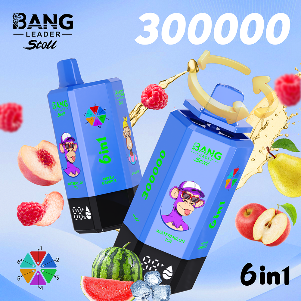 Bang Leader 300K Einweg Vape 300000 Puffs 6 in 1 Disposable vape kaufen