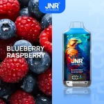 JNR Falcon X 18k 18000 Puffs Einweg Vape Digital Display 0.6Ω Dual Mesh Coil JNR 18000 Puff Vape e zigarette