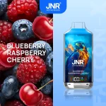 JNR Falcon X 18k 18000 Puffs Einweg Vape Digital Display 0.6Ω Dual Mesh Coil JNR 18000 Puff Vape e zigarette
