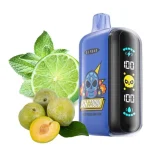 ELF BAR GH23000 Disposable Vape 23ml E Liquid 5% Nikotin