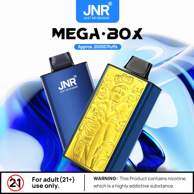 JNR Mega Box 25000 25k Puffs Einweg Vape / e zigarette mit robustem Metallgehäuse und Dual Mesh Coil