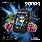 Bang DE 90k 90000 Puffs Einweg Vape LCD Screen Mesh Coil Bang DE 90000 90k Puff Vape e zigarette