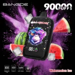 Bang DE 90k 90000 Puffs Einweg Vape LCD Screen Mesh Coil Bang DE 90000 90k Puff Vape e zigarette
