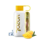 Mango-Ice-1 Vozol Star 40k 40000 Puffs Einweg Vape Wavy Curved Screen Dual Mesh Coil Vozol 40000 Puff Vape e zigarette