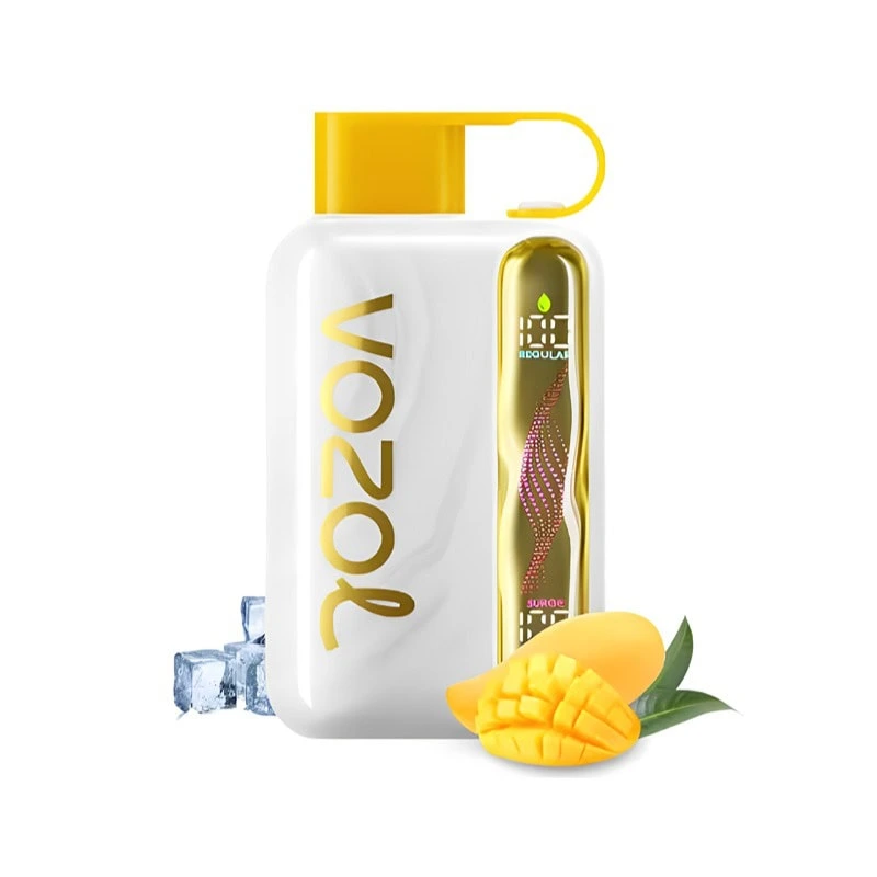 Mango-Ice-1 Vozol Star 40k 40000 Puffs Einweg Vape Wavy Curved Screen Dual Mesh Coil Vozol 40000 Puff Vape e zigarette Mango-Ice-1 Vozol Star 40k 40000 Puffs Einweg Vape Wavy Curved Screen Dual Mesh Coil Vozol 40000 Puff Vape e zigarette