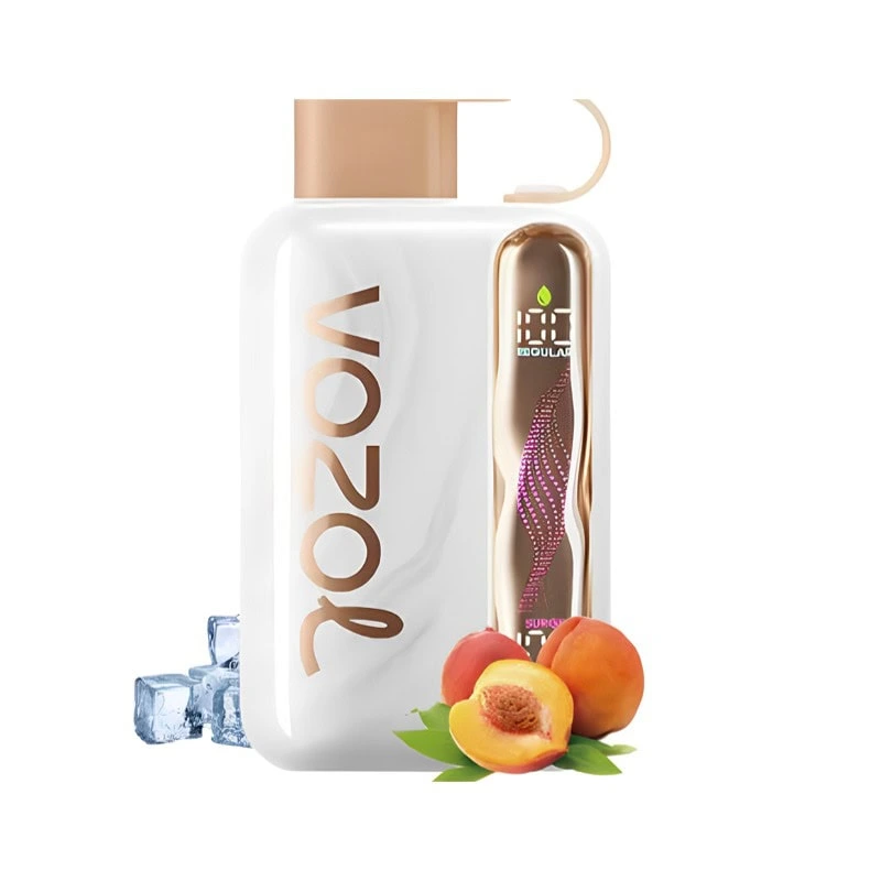Peach-Ice-1 Vozol Star 40k 40000 Puffs Einweg Vape Wavy Curved Screen Dual Mesh Coil Vozol 40000 Puff Vape e zigarette Peach-Ice-1 Vozol Star 40k 40000 Puffs Einweg Vape Wavy Curved Screen Dual Mesh Coil Vozol 40000 Puff Vape e zigarette