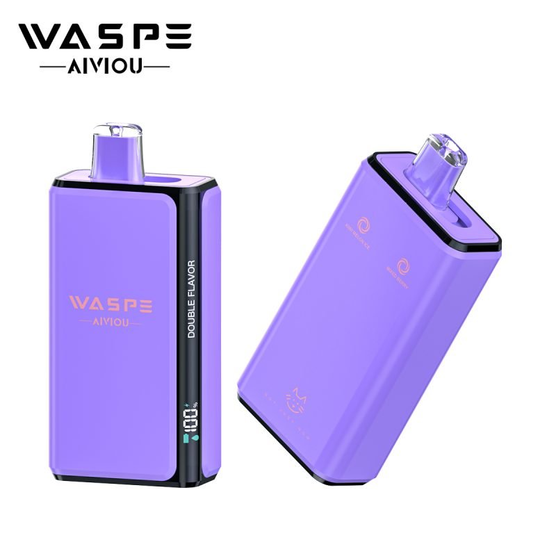 Waspe Double Flavor 100K Pro 100000 Puffs 2 in 1 Einweg Vape e zigarette mit LCD Screen Display und Mesh Coil