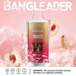 Bang Leader 20k 20000 Puffs Einweg Vape mit kristallklarem Gehäuse und Mesh Coil