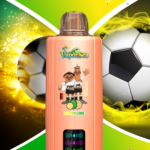VaporSea 300K 6 in 1 Puff Vape e zigaretten LED Display Batterie und Liquid Anzeige
