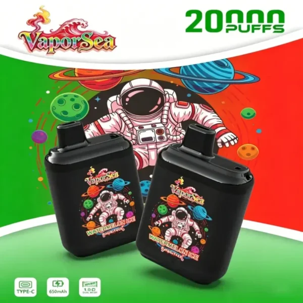 VaporSea 20000 Disposable Vape / e zigarette Type C aufladbar