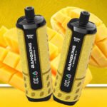 Bang King Shisha 60K Cool Mango Vape