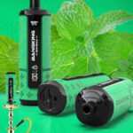 Bang King Shisha 60K Cool Mint Vape