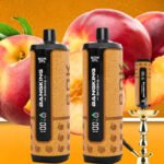 Bang King Shisha 60K Peach Ice Vape